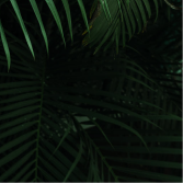 Produtora audiovisual